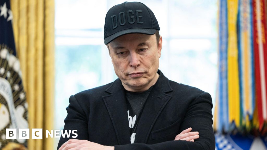 Musk’s fellowship of Royal Society in doubt after rally address