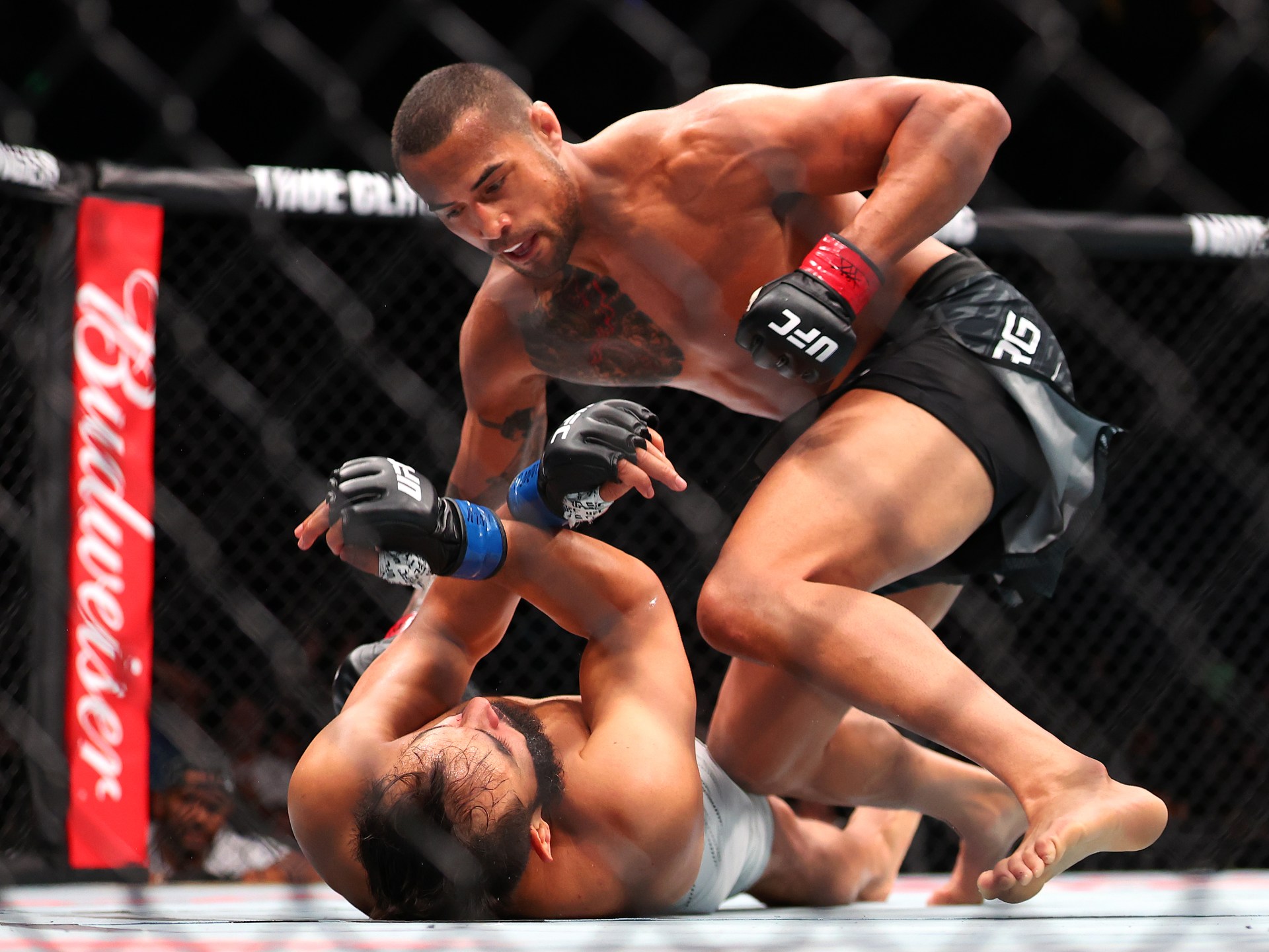 Ulberg dominates Reyes with first-round KO at UFC Fight Night | Mixed Martial Arts News